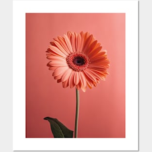 Elegant Coral Gerbera Daisy Posters and Art